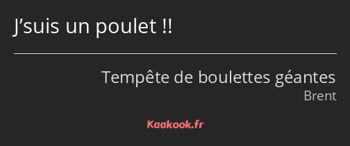 J’suis un poulet !!