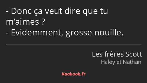 Donc ça veut dire que tu m’aimes ? Evidemment, grosse nouille.