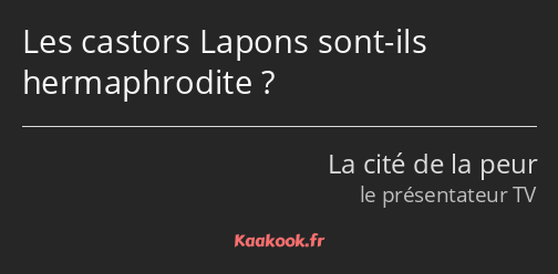 Les castors Lapons sont-ils hermaphrodite ?