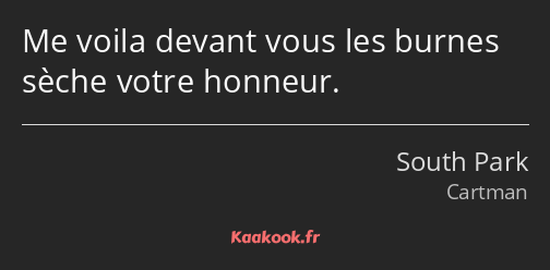 Me voila devant vous les burnes sèche votre honneur.