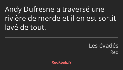 Andy Dufresne a traversé une rivière de merde et il en est sortit lavé de tout.