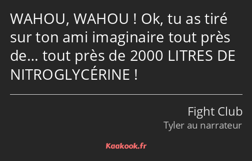 WAHOU, WAHOU ! Ok, tu as tiré sur ton ami imaginaire tout près de… tout près de 2000 LITRES DE…