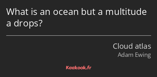 What is an ocean but a multitude a drops?