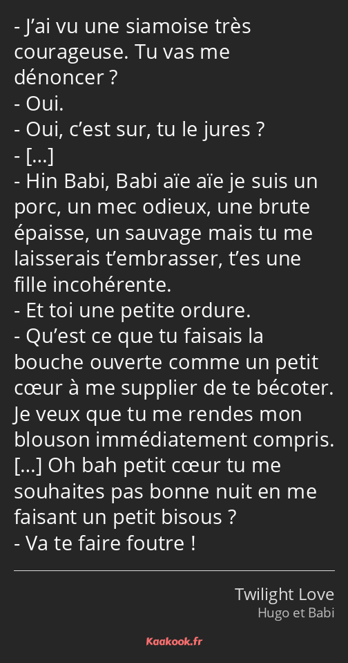 J’ai vu une siamoise très courageuse. Tu vas me dénoncer ? Oui. Oui, c’est sur, tu le jures ? Hin…