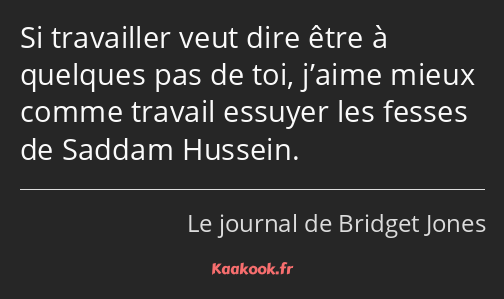 Si travailler veut dire être à quelques pas de toi, j’aime mieux comme travail essuyer les fesses…