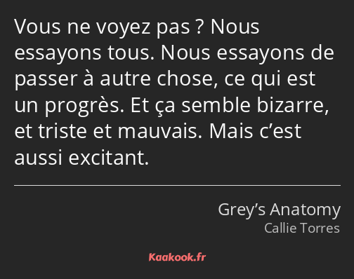 Vous ne voyez pas ? Nous essayons tous. Nous essayons de passer à autre chose, ce qui est un…