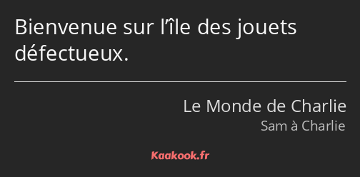 Bienvenue sur l’île des jouets défectueux.