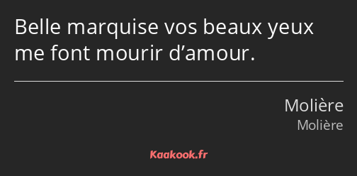 Belle marquise vos beaux yeux me font mourir d’amour.