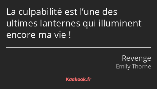 La culpabilité est l’une des ultimes lanternes qui illuminent encore ma vie !