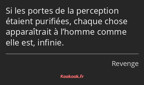 Si les portes de la perception étaient purifiées, chaque chose apparaîtrait à l’homme comme elle…