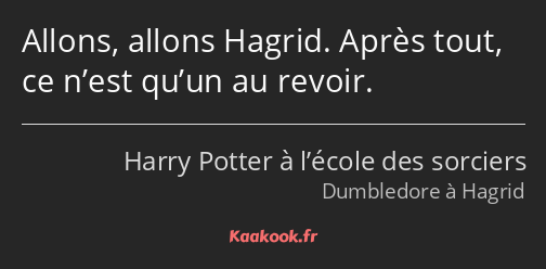 Allons, allons Hagrid. Après tout, ce n’est qu’un au revoir.