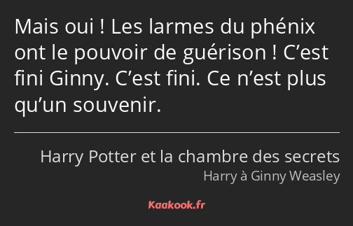 Mais oui ! Les larmes du phénix ont le pouvoir de guérison ! C’est fini Ginny. C’est fini. Ce n’est…