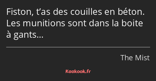 Fiston, t’as des couilles en béton. Les munitions sont dans la boite à gants…