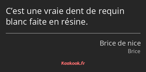 C’est une vraie dent de requin blanc faite en résine.