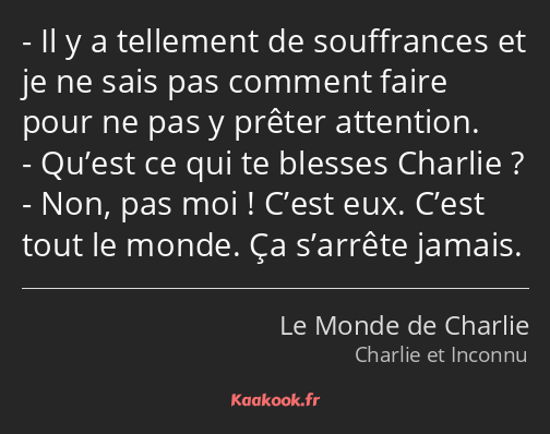 Il y a tellement de souffrances et je ne sais pas comment faire pour ne pas y prêter attention…