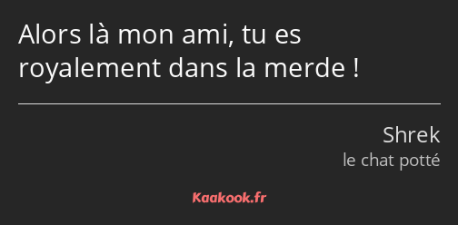 Alors là mon ami, tu es royalement dans la merde !