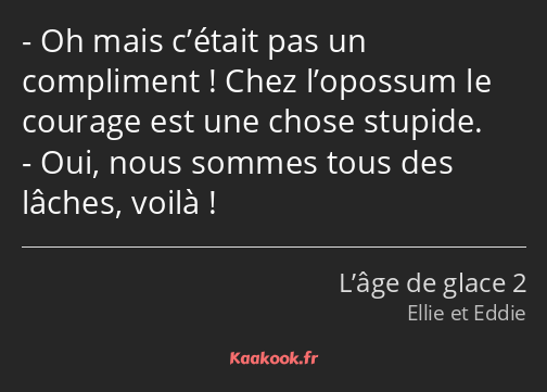 Oh mais c’était pas un compliment ! Chez l’opossum le courage est une chose stupide. Oui, nous…