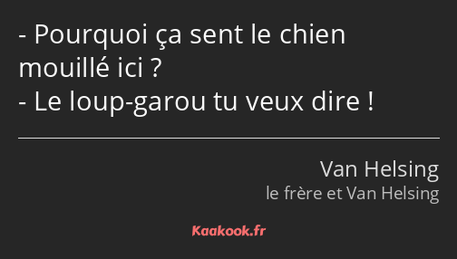 Pourquoi ça sent le chien mouillé ici ? Le loup-garou tu veux dire !