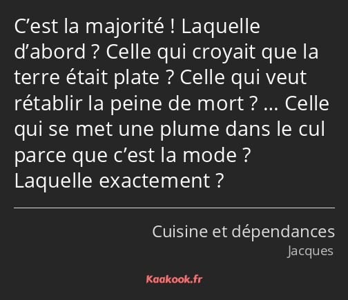 C’est la majorité ! Laquelle d’abord ? Celle qui croyait que la terre était plate ? Celle qui veut…