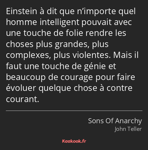 Einstein à dit que n’importe quel homme intelligent pouvait avec une touche de folie rendre les…