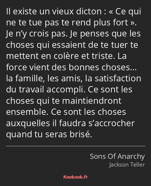 Il existe un vieux dicton : Ce qui ne te tue pas te rend plus fort. Je n’y crois pas. Je penses que…