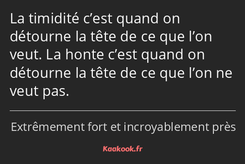 La timidité c’est quand on détourne la tête de ce que l’on veut. La honte c’est quand on détourne…