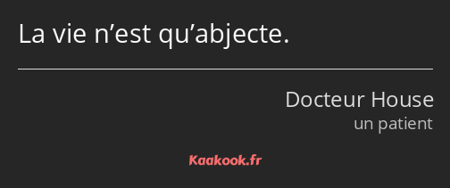 La vie n’est qu’abjecte.