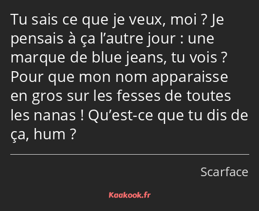 Tu sais ce que je veux, moi ? Je pensais à ça l’autre jour : une marque de blue jeans, tu vois…