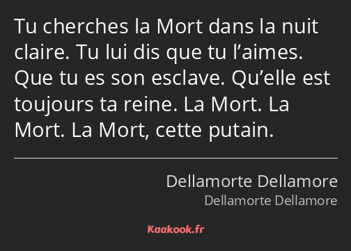 Tu cherches la Mort dans la nuit claire. Tu lui dis que tu l’aimes. Que tu es son esclave. Qu’elle…