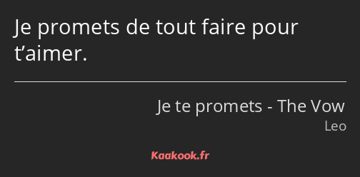 Je promets de tout faire pour t’aimer.