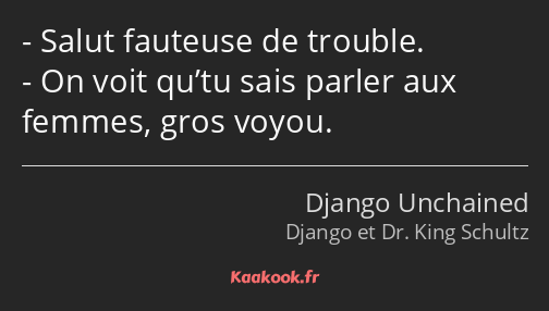 Salut fauteuse de trouble. On voit qu’tu sais parler aux femmes, gros voyou.