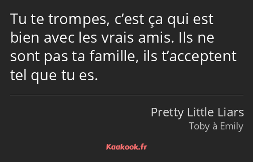 Tu te trompes, c’est ça qui est bien avec les vrais amis. Ils ne sont pas ta famille, ils…