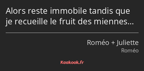 Alors reste immobile tandis que je recueille le fruit des miennes…