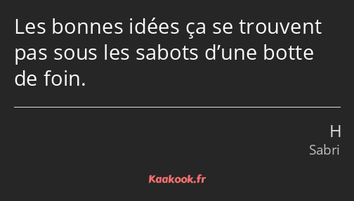 Les bonnes idées ça se trouvent pas sous les sabots d’une botte de foin.