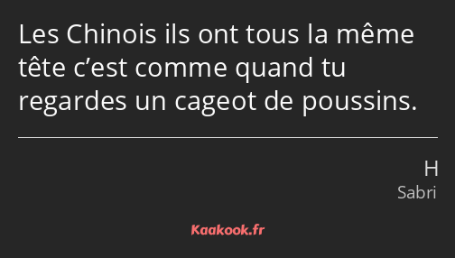 Les Chinois ils ont tous la même tête c’est comme quand tu regardes un cageot de poussins.