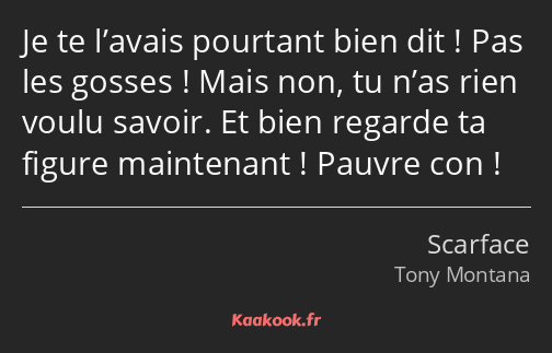 Je te l’avais pourtant bien dit ! Pas les gosses ! Mais non, tu n’as rien voulu savoir. Et bien…