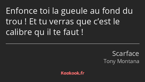 Enfonce toi la gueule au fond du trou ! Et tu verras que c’est le calibre qu il te faut !