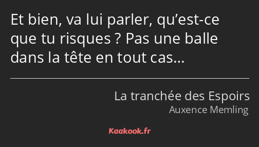 Et bien, va lui parler, qu’est-ce que tu risques ? Pas une balle dans la tête en tout cas…