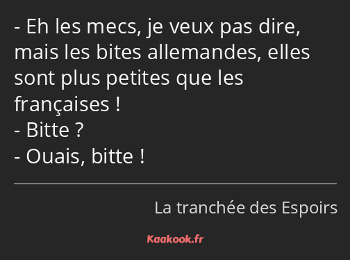 Eh les mecs, je veux pas dire, mais les bites allemandes, elles sont plus petites que les…