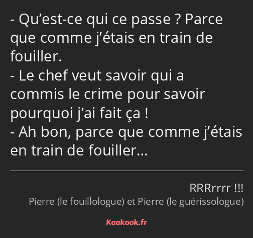 Qu’est-ce qui ce passe ? Parce que comme j’étais en train de fouiller. Le chef veut savoir qui a…