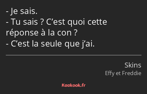 Je sais. Tu sais ? C’est quoi cette réponse à la con ? C’est la seule que j’ai.