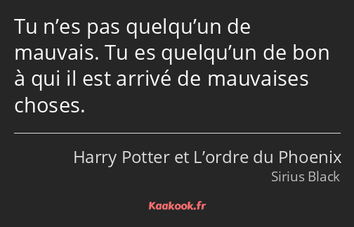 Tu n’es pas quelqu’un de mauvais. Tu es quelqu’un de bon à qui il est arrivé de mauvaises choses.