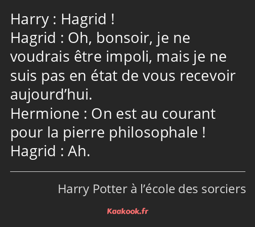 Hagrid ! Oh, bonsoir, je ne voudrais être impoli, mais je ne suis pas en état de vous recevoir…