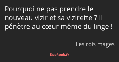 Pourquoi ne pas prendre le nouveau vizir et sa vizirette ? Il pénètre au cœur même du linge !