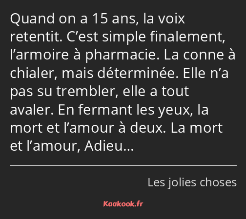 Quand on a 15 ans, la voix retentit. C’est simple finalement, l’armoire à pharmacie. La conne à…