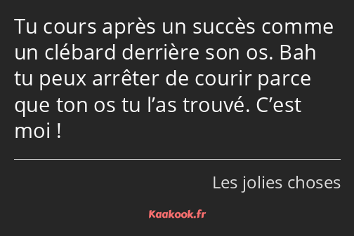 Tu cours après un succès comme un clébard derrière son os. Bah tu peux arrêter de courir parce que…