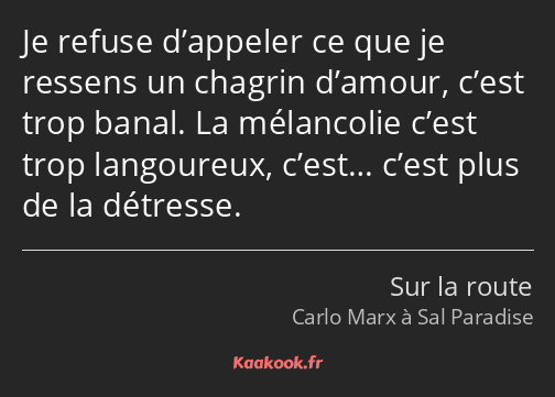 Je refuse d’appeler ce que je ressens un chagrin d’amour, c’est trop banal. La mélancolie c’est…