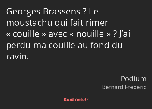 Georges Brassens ? Le moustachu qui fait rimer couille avec nouille ? J’ai perdu ma couille au fond…