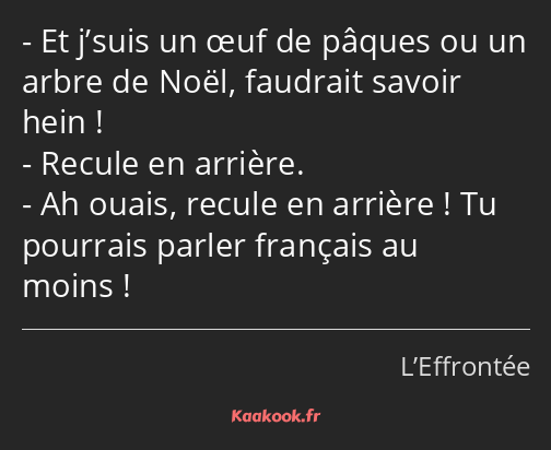 Et j’suis un œuf de pâques ou un arbre de Noël, faudrait savoir hein ! Recule en arrière. Ah ouais…