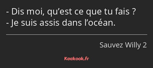 Dis moi, qu’est ce que tu fais ? Je suis assis dans l’océan.